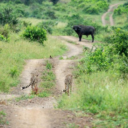 Sungulwane Private Game Lodge Hluhluwe Exteriér fotografie