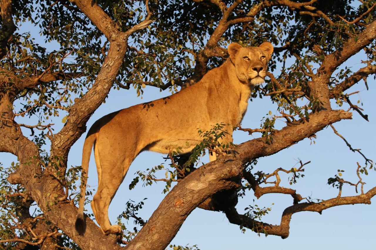 Sungulwane Private Game Lodge Hluhluwe Exteriér fotografie