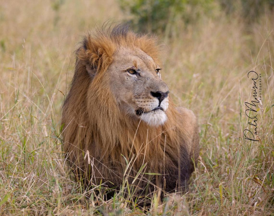 Sungulwane Private Game Lodge Hluhluwe Exteriér fotografie
