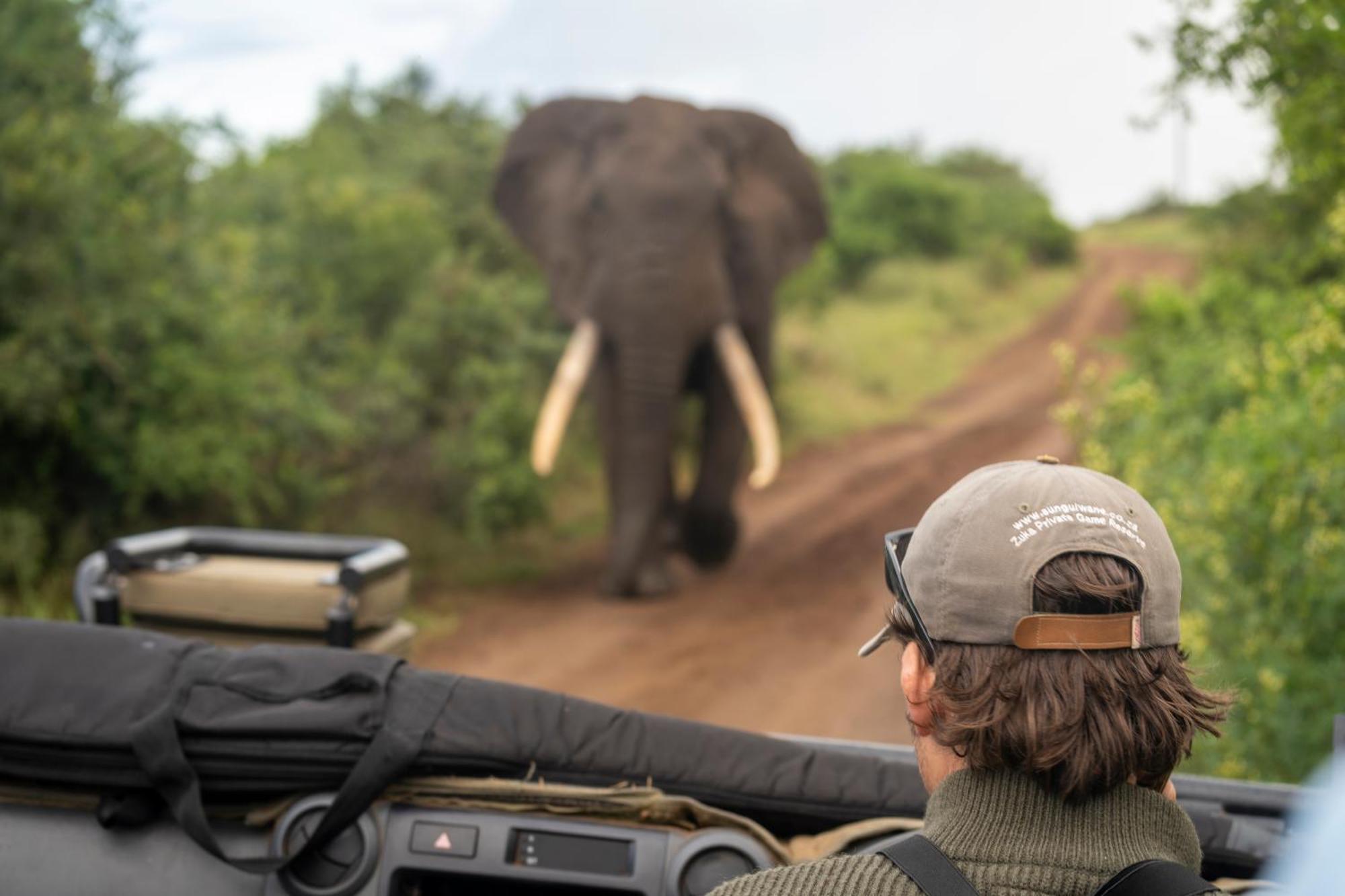 Sungulwane Private Game Lodge Hluhluwe Exteriér fotografie